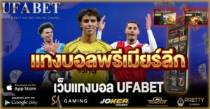 แทงบอลพรีเมียร์ลีก คืออะไร ทำความเข้าใจระบบก่อนตัดสินใจเล่น เว็บแทงบอล